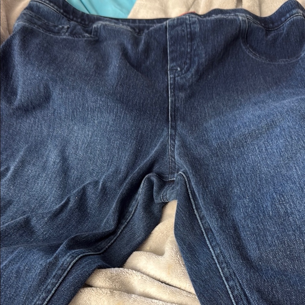 Blakley SPANX by Sara Blakely Jegging denim Size 1X